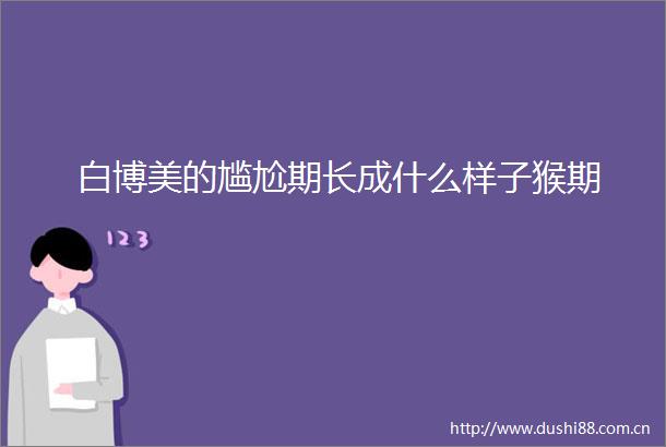 白博美的尴尬期长成什么样子猴期