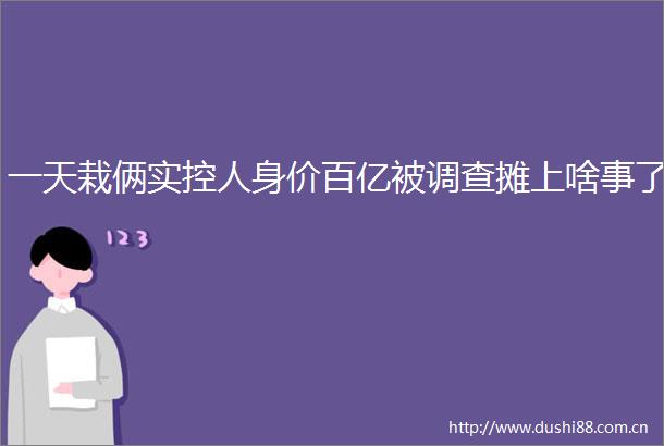 一天栽俩实控人身价百亿被调查摊上啥事了