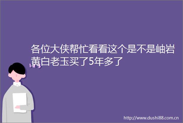 各位大侠帮忙看看这个是不是岫岩黄白老玉买了5年多了