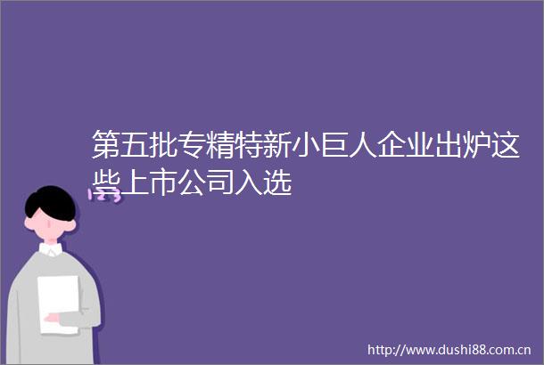 第五批专精特新小巨人企业出炉这些上市公司入选