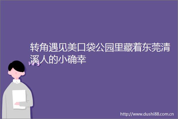 转角遇见美口袋公园里藏着东莞清溪人的小确幸