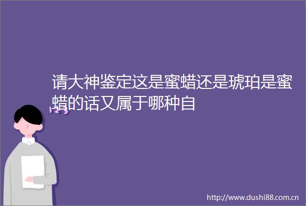 请大神鉴定这是蜜蜡还是琥珀是蜜蜡的话又属于哪种自