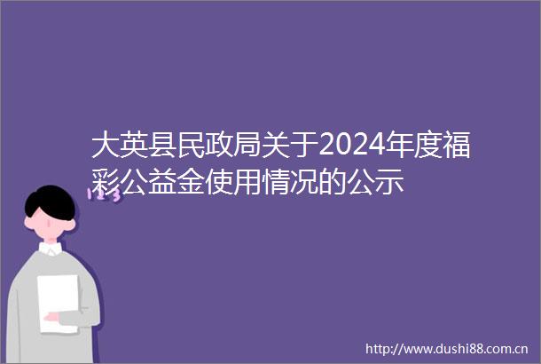 大英县民关于2024年度福彩公益金使用情况的公示
