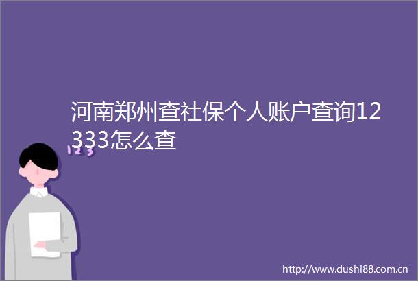 河南郑州查社保个人账户查询12333怎么查