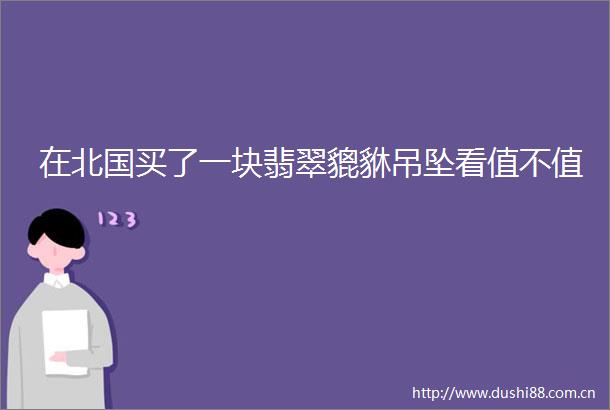 在北国买了一块翡翠貔貅吊坠看值不值