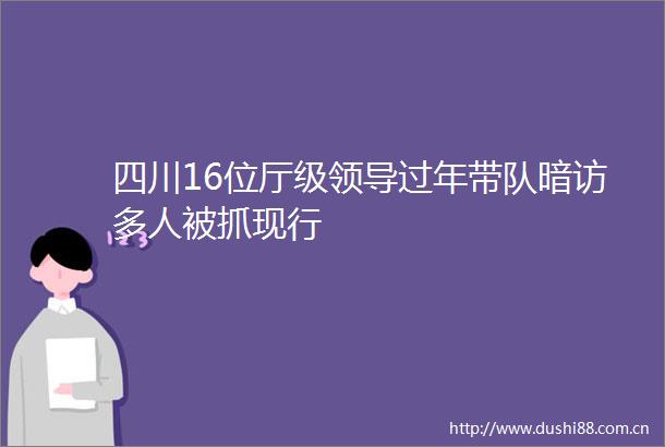 四川16位厅级过年带队暗访多人被抓现行