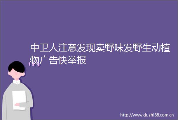 中卫人注意发现卖野味发野生动植物快