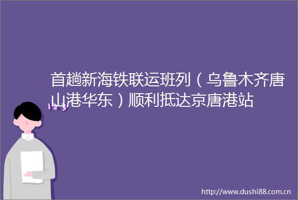 首趟新海铁联运班列（乌鲁木齐唐山港华东）顺利抵达京唐港站