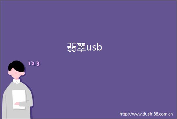 翡翠usb