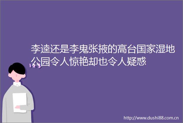 李逵还是李鬼张掖的高台湿地公园令人惊艳却也令人疑惑