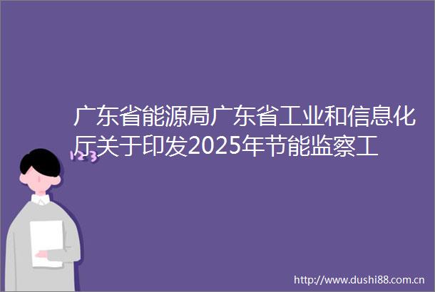 广东省能源局广东省工业和信息化厅关于印发2025年节能监察工作计划的通知
