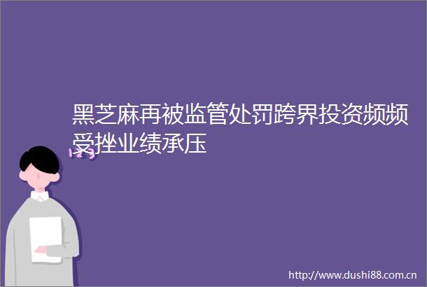 黑芝麻再被监管跨界投资频频受挫业绩承压