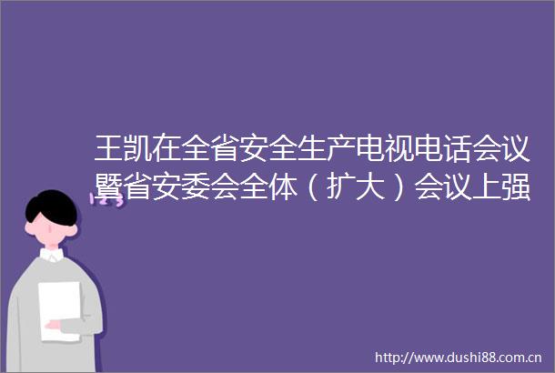 王凯在全省安全生产电视电话会议暨省安委会全体（扩大）会议上强调深化专项整治压实各方责任推动安全生产形势持续向好