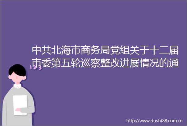 北海市商务局党组关于十二届市委第五轮巡察整改进展情况的通报