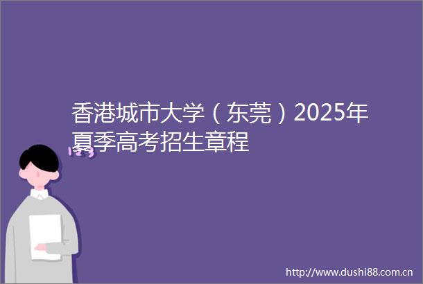 香港城市大学（东莞）2025年夏季高考招生章程