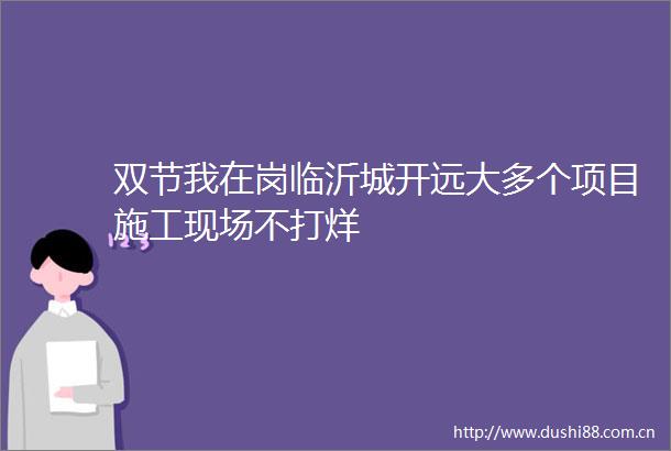 双节我在岗临沂城开远大多个项目施工现场不打烊