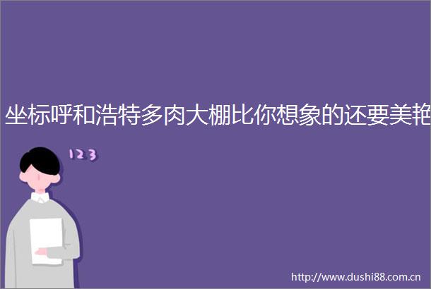 坐标呼和浩特多肉大棚比你想象的还要美艳