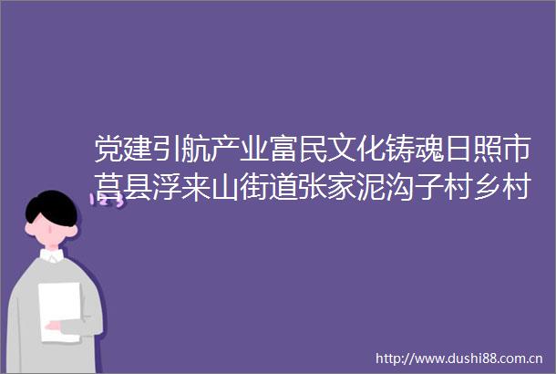 党建引航产业富民文化铸魂日照市莒县浮来山街道张家泥沟子村乡村振兴之路