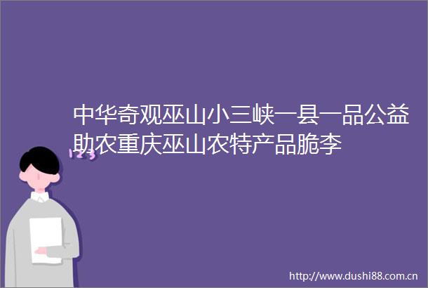 中华奇观巫山峡一县一品公益助农重庆巫山农特产品脆李