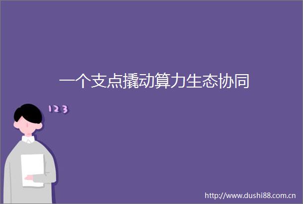 一个支点撬动算力生态协同