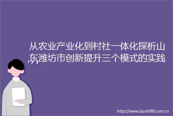 从农业产业化到村社一体化探析山东潍坊市创新提升三个模式的实践