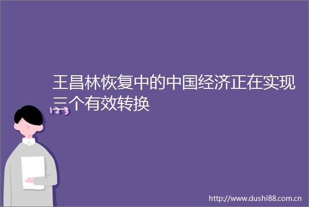 王昌林恢复中的经济正在实现三个有效转换