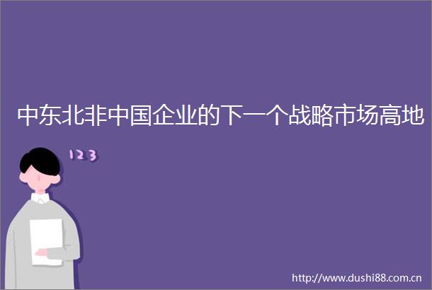 中东北非企业的下一个战略市场高地