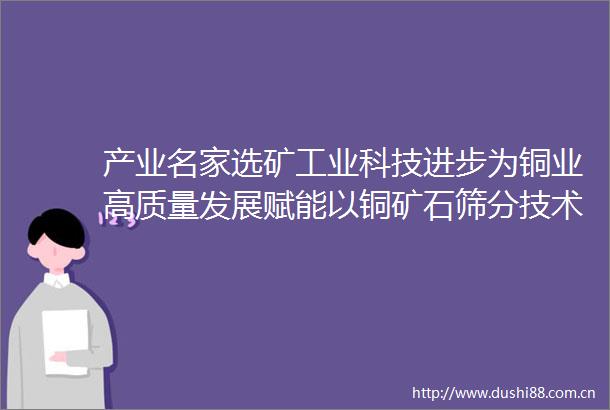 产业名家选矿工业科技进步为铜业高质量发展赋能以铜矿石筛分技术为例