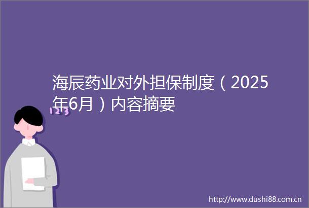 海辰药业对外担保制度（2025年6月）内容摘要