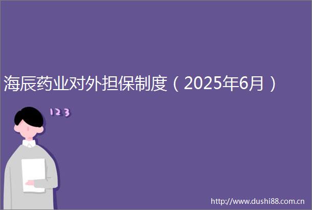 海辰药业对外担保制度（2025年6月）