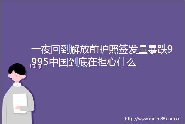 一夜回到解放前护照签发量暴跌9995到底在担心什么