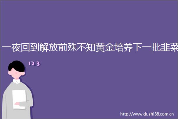 一夜回到解放前殊不知黄金培养下一批韭菜