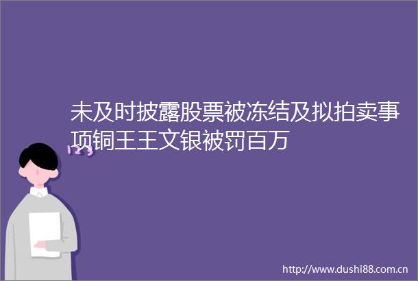 未及时披露股票被冻结及拟拍卖事项铜王王文银百万