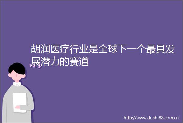 胡润医疗行业是全球下一个最具发展潜力的赛道