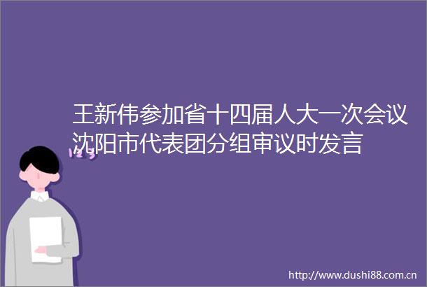 王新伟参加省十四届人大一次会议沈阳市代表团分组审议时发言