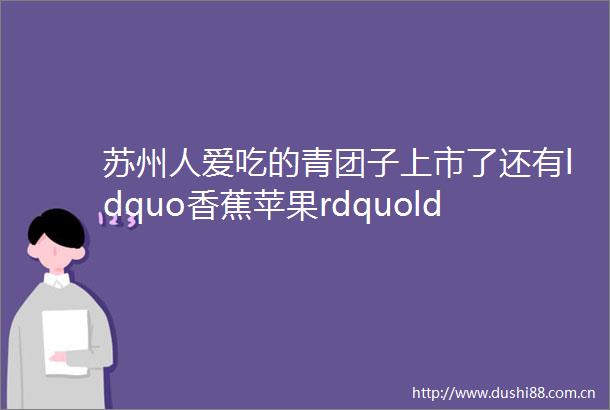 苏州人爱吃的青团子上市了还有ldquo香蕉苹果rdquoldquo酱爆龙眼rdquo新口味helliphellip