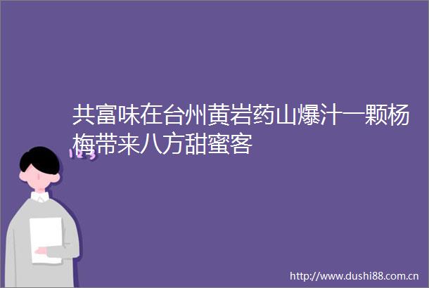 共富味在台州黄岩药山爆汁一颗杨梅带来八方甜蜜客