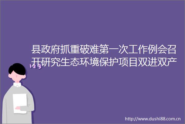 县抓重破难第一次工作例会召开研究生态环境保护项目双进双产工作王剑峰主持