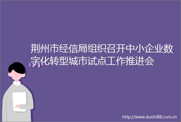 荆州市经信局组织召开中小企业数字化转型城市试点工作推进会