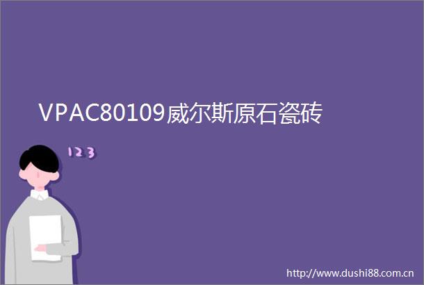 VPAC80109威尔斯原石瓷砖