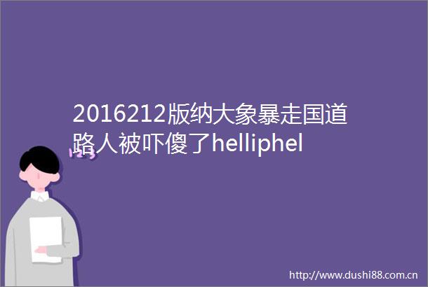 2016212版纳大象暴走国道路人被吓傻了helliphellip