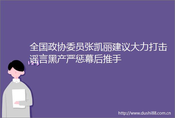 全国政协委员张凯丽建议大力打击谣言黑产严惩幕后推手