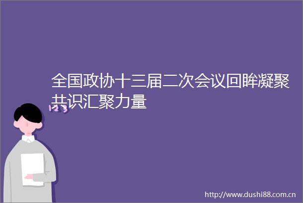 全国政协十三届二次会议回眸凝聚共识汇聚力量