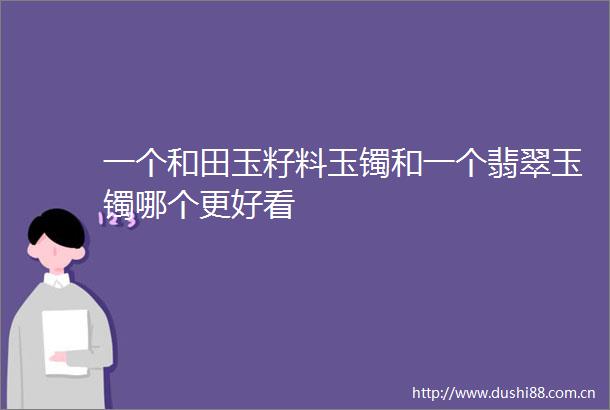 一个和田玉籽料玉镯和一个翡翠玉镯哪个更好看