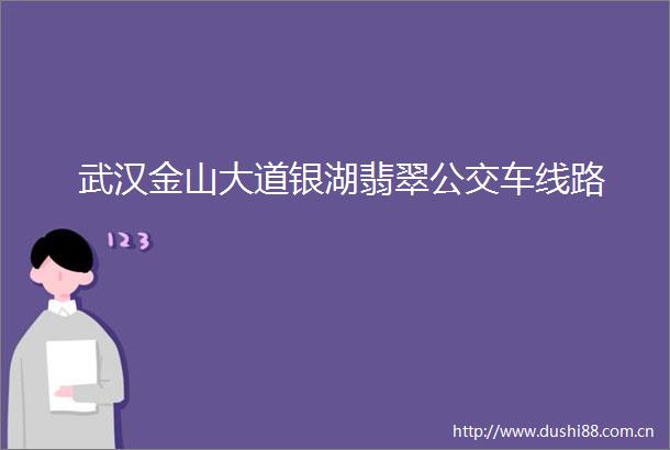武汉金山大道银湖翡翠公交车线路