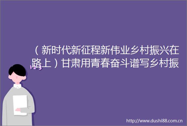 （新时代新征程新伟业乡村振兴在路上）甘肃用青春奋斗谱写乡村振兴协奏曲
