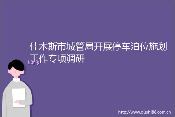 佳木斯市局开展停车泊位施划工作专项调研