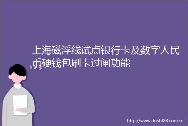 上海磁浮线试点银行卡及数字币硬钱包刷卡过闸功能