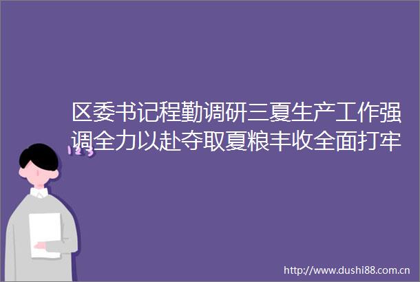 区委书记程勤调研三夏生产工作强调全力以赴夺取夏粮丰收全面打牢秋粮生产基础