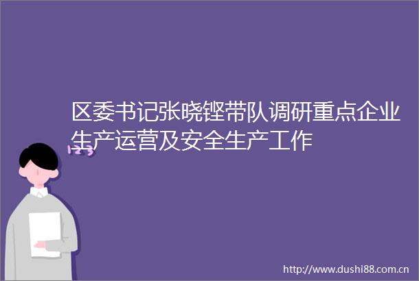 区委书记张晓铿带队调研重点企业生产运营及安全生产工作